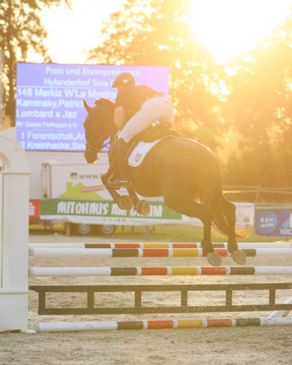 ZP Gloves " All Season " EQUESTRIAN