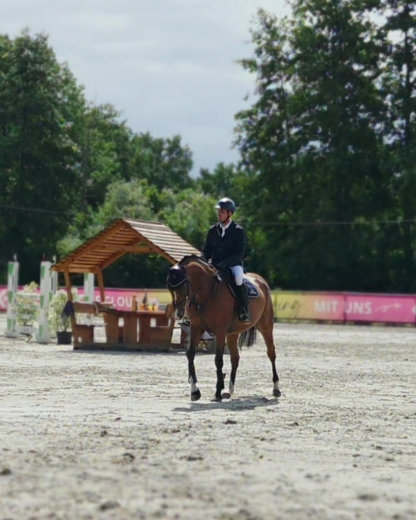 ZP Gloves " All Season "